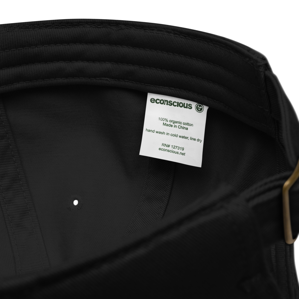 Bio Vizsla Dog embroided baseball cap with Vizsla Dog Name for Vizsla