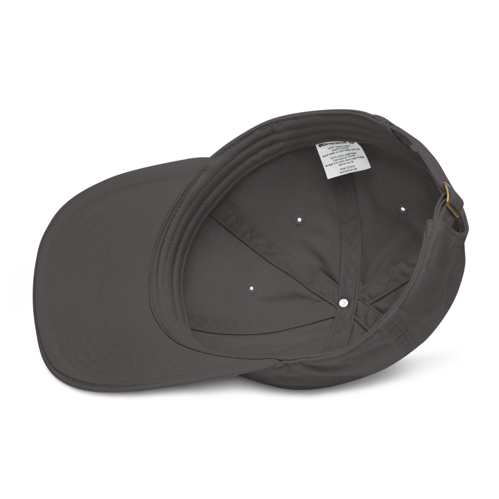 Bio Vizsla Dog embroided baseball cap with Vizsla Dog Name for Vizsla