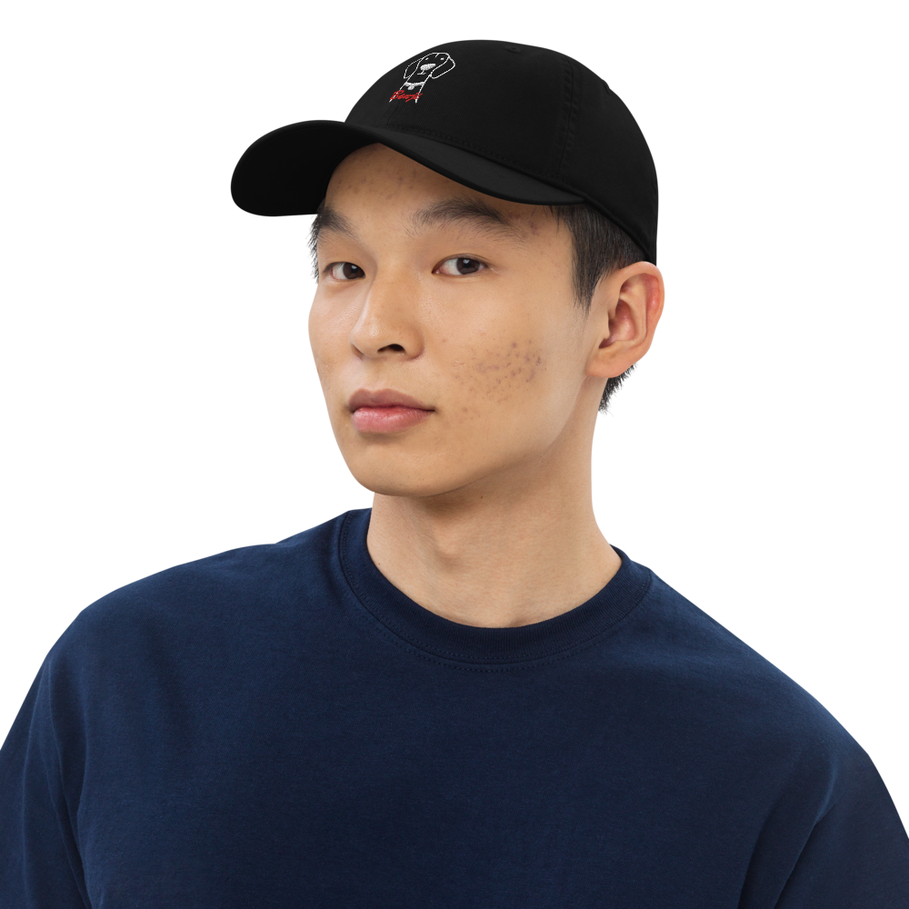 Bio Vizsla Dog embroided baseball cap with Vizsla Dog Name for Vizsla