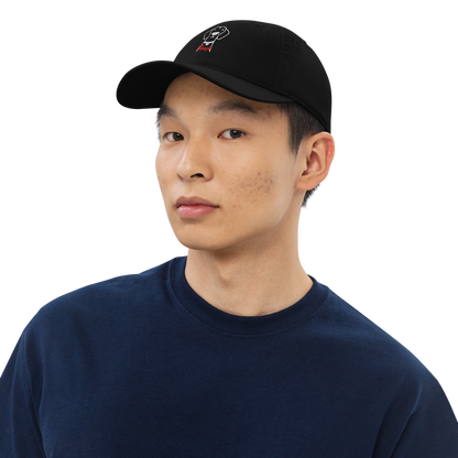 Bio Vizsla Dog embroided baseball cap with Vizsla Dog Name for Vizsla