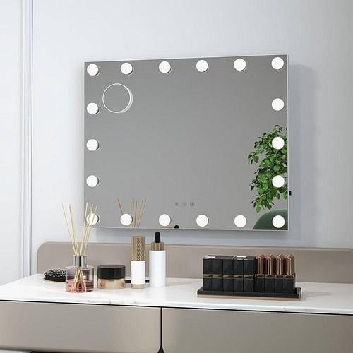 21 x 26 in Bathroom Mirror w/ Dimmable Lights + Removable 3X